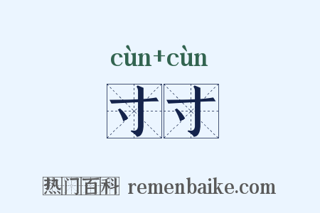 寸寸是什么意思的图片